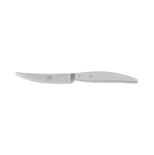 Coltellerie Berti - 1895 - Polychrome 6 Table Knives - N. 8062 - Exclusive Artisan Knives - Handmade in Italy - Avvenice