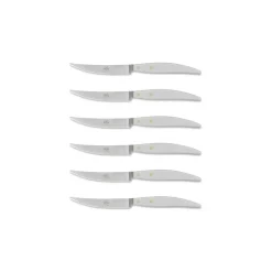 Coltellerie Berti - 1895 - Polychrome 6 Table Knives - N. 8062 - Exclusive Artisan Knives - Handmade in Italy - Avvenice