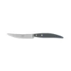 Coltellerie Berti - 1895 - Polychrome 6 Table Knives - N. 8064 - Exclusive Artisan Knives - Handmade in Italy - Avvenice