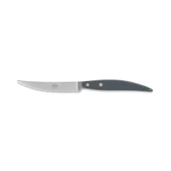 Coltellerie Berti - 1895 - Polychrome 6 Table Knives - N. 8064 - Exclusive Artisan Knives - Handmade in Italy - Avvenice