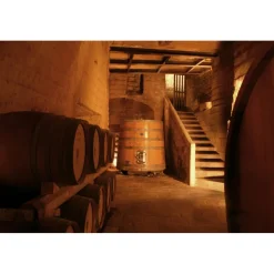 Conte Spagnoletti Zeuli - Tour Zeuli - Guided Tour of the XVIII Cellar, Olive Oil Plant, Vineyards and Olives - Daily - Avvenice
