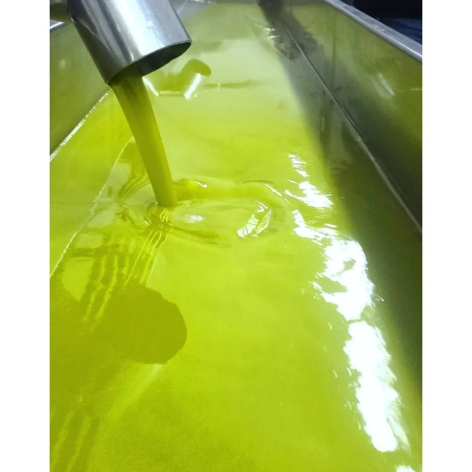 Conte Spagnoletti Zeuli - Tour Zeuli - Guided Tour of the XVIII Cellar, Olive Oil Plant, Vineyards and Olives - Daily - Avvenice