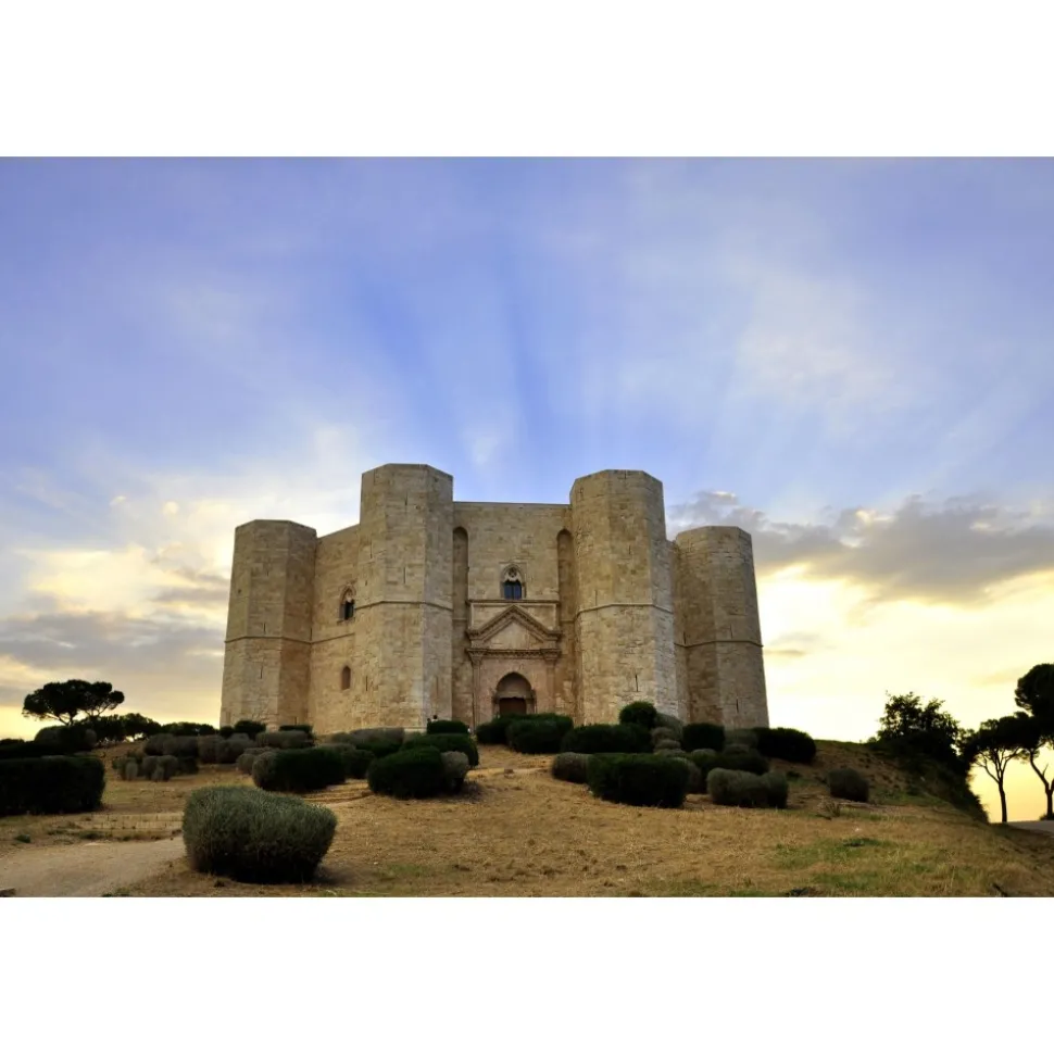 Conte Spagnoletti Zeuli - Tour Zeuli - Guided Tour of the XVIII Cellar, Olive Oil Plant, Vineyards and Olives - Daily - Avvenice