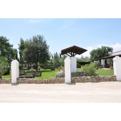 Conte Spagnoletti Zeuli - Tour Zeuli - Guided Tour of the XVIII Cellar, Olive Oil Plant, Vineyards and Olives - Daily - Avvenice