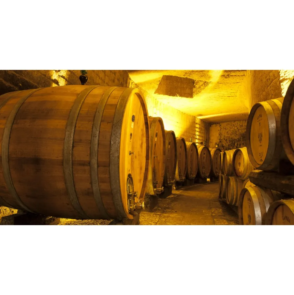 Conte Spagnoletti Zeuli - Tour Zeuli - Guided Tour of the XVIII Cellar, Olive Oil Plant, Vineyards and Olives - Daily - Avvenice