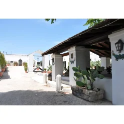 Conte Spagnoletti Zeuli - Tour Spagnoletti - Guided Tour of the XVIII Cellar, Olive Oil Plant, Vineyards and Olives - Daily - Avvenice