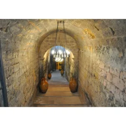 Conte Spagnoletti Zeuli - Tour Spagnoletti - Guided Tour of the XVIII Cellar, Olive Oil Plant, Vineyards and Olives - Daily - Avvenice