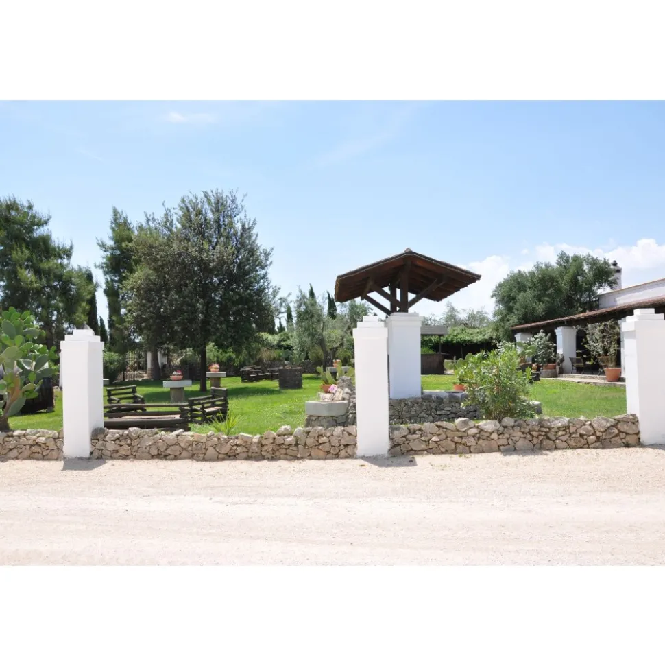 Conte Spagnoletti Zeuli - Tour Spagnoletti - Guided Tour of the XVIII Cellar, Olive Oil Plant, Vineyards and Olives - Daily - Avvenice