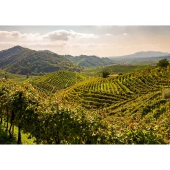 Esplanade Tergesteo - Vital Executive Suite 10 - 4 Days 3 Nights - Exclusive Luxury - Montegrotto Terme - Veneto Italy - Avvenice