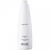 Everline - Hair Solution - Anti Dandruff - Fat Dandruff Shampoo - BeCare - Professional Color Line - 1000 ml - Avvenice