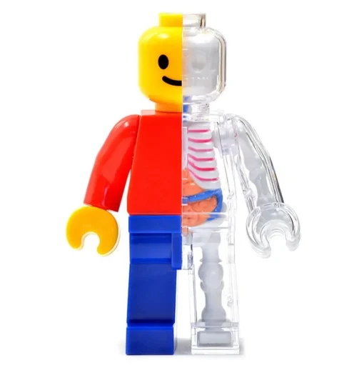 Fame Master - Brick Man - Classic - 4D Master - Mighty Jaxx - Jason Freeny - Body Anatomy - XX Ray - Art Toys - Avvenice
