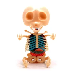 Fame Master - Gummi Bear - Orange - 4D Master - Mighty Jaxx - Jason Freeny - Body Anatomy - XX Ray - Art Toys - Avvenice
