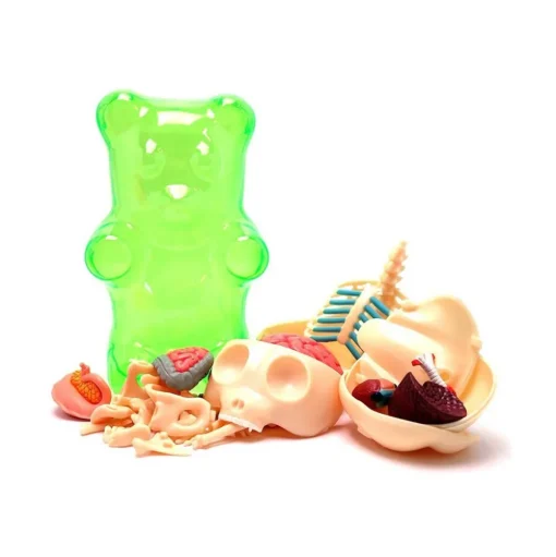 Fame Master - Small Gummi Bear - Green - 4D Master - Mighty Jaxx - Jason Freeny - Body Anatomy - XX Ray - Art Toys - Avvenice