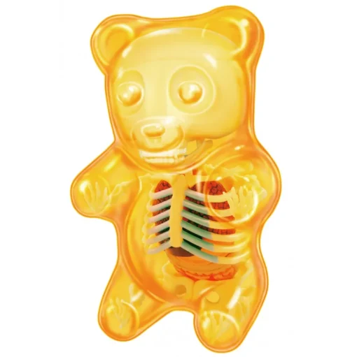 Fame Master - Small Gummi Bear - Orange - 4D Master - Mighty Jaxx - Jason Freeny - Body Anatomy - XX Ray - Art Toys - Avvenice