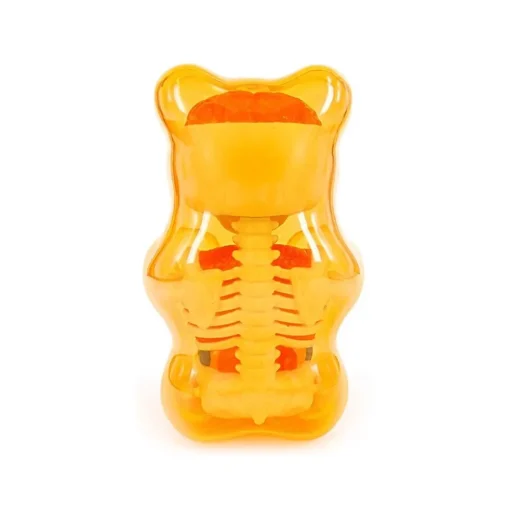 Fame Master - Small Gummi Bear - Orange - 4D Master - Mighty Jaxx - Jason Freeny - Body Anatomy - XX Ray - Art Toys - Avvenice