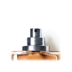 Giorgio Armani - Acqua di Gio' Absolu - Elegant and Sensual Male Perfume - Luxury Fragrances - 40 ml - Avvenice