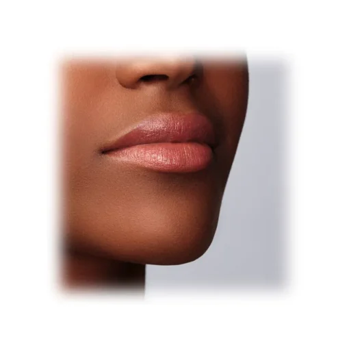Giorgio Armani - Ecstasy Shine Lip Cream - Lipstick in Cream - Excess Shine and Care Lip Cream - Luxury - Avvenice