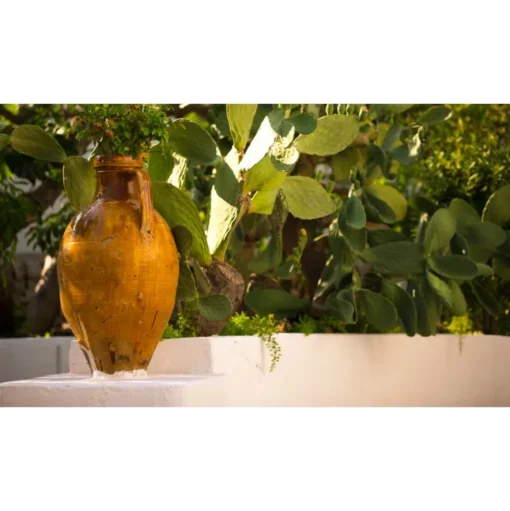 Il Melograno - Essence of Melograno - 4 Days 3 Nights - Avvenice