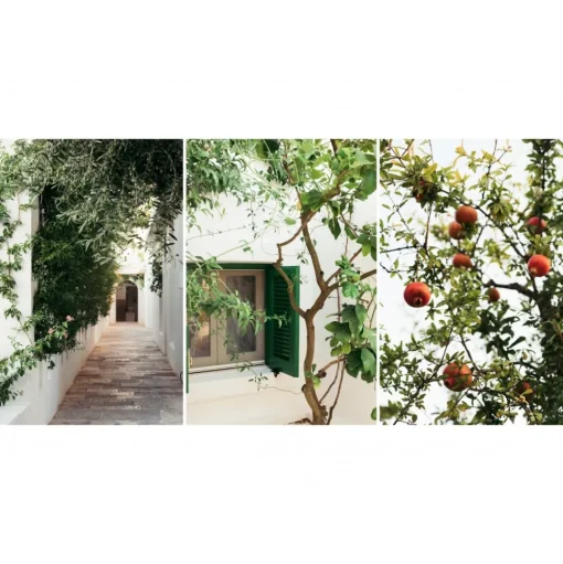 Il Melograno - Essence of Melograno - 4 Days 3 Nights - Avvenice