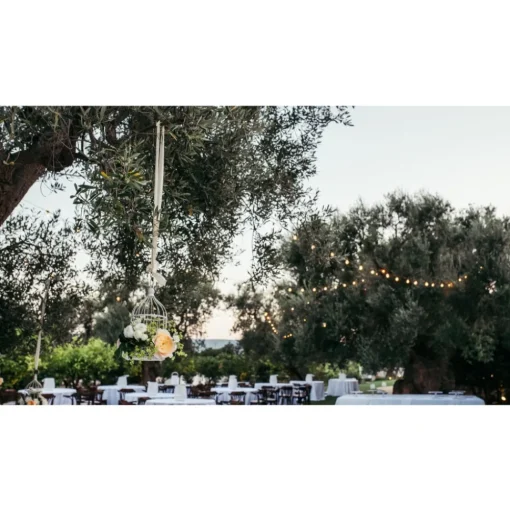 Il Melograno - Essence of Melograno - 4 Days 3 Nights - Avvenice