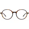 Linda Farrow - Merrick A Oval Optical Glasses in Tortoiseshell - LF51AC2OPT - Linda Farrow Eyewear - Avvenice