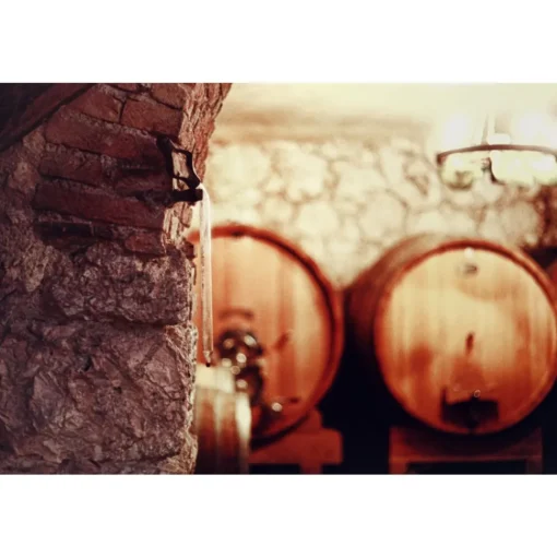 Massimago Wine Relais - MasterChef Experience - 3 Days 2 Nights - Avvenice