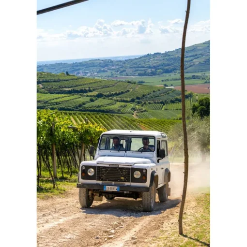 Massimago Wine Relais - MasterChef Experience - 3 Days 2 Nights - Avvenice