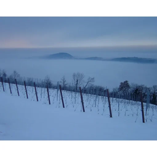 Massimago Wine Relais - MasterChef Experience - 3 Days 2 Nights - Avvenice