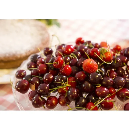 Massimago Wine Relais - MasterChef Experience - 3 Days 2 Nights - Avvenice