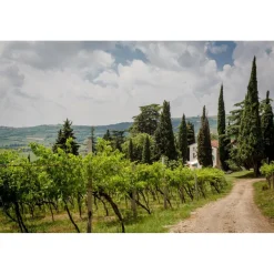Massimago Wine Relais - MasterChef Experience - 4 Days 3 Nights - Avvenice