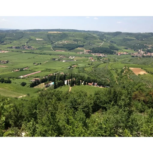 Massimago Wine Relais - MasterChef Experience - 4 Days 3 Nights - Avvenice