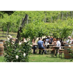 Massimago Wine Relais - MasterChef Experience - 4 Days 3 Nights - Avvenice