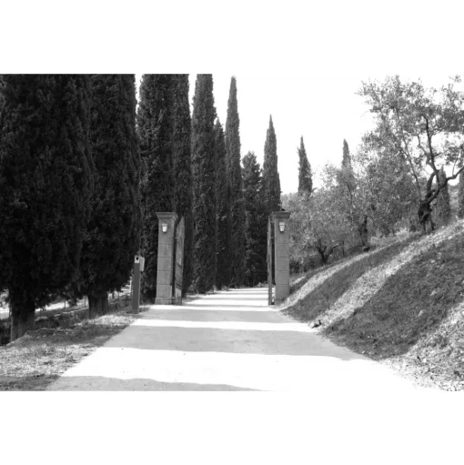 Massimago Wine Relais - MasterChef Experience - 4 Days 3 Nights - Avvenice