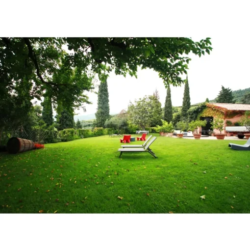 Massimago Wine Relais - MasterChef Experience - 4 Days 3 Nights - Avvenice