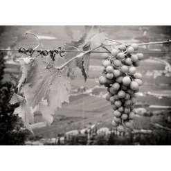 Massimago Wine Relais - Valpolicella Relax Experience - 3 Days 2 Nights - Avvenice