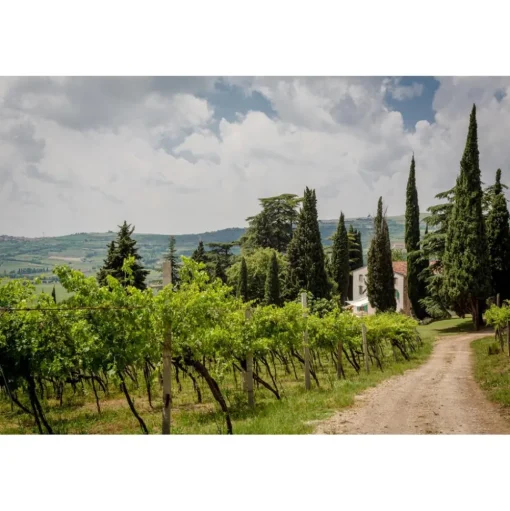 Massimago Wine Relais - Valpolicella Relax Experience - 3 Days 2 Nights - Avvenice