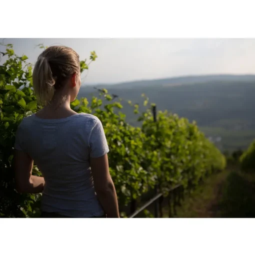 Massimago Wine Relais - Valpolicella Wine & Relax - Apartment - 4 Persons - 4 Days 3 Nights - Avvenice
