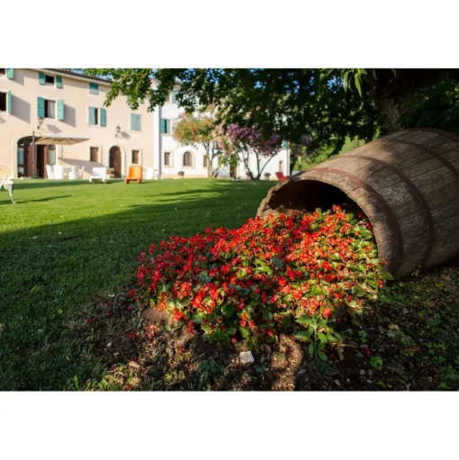 Massimago Wine Relais - Wine Tasting & Nature - 4 Days 3 Nights - Avvenice