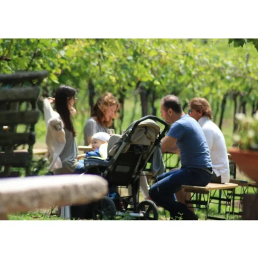 Massimago Wine Relais - Wine Tasting & Nature - 4 Days 3 Nights - Avvenice