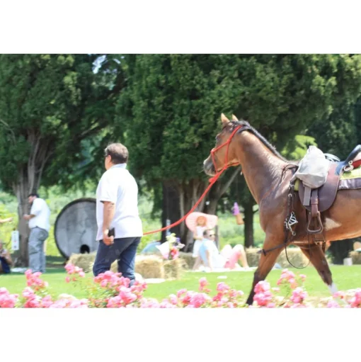 Massimago Wine Relais - Wine Tasting & Nature - 4 Days 3 Nights - Avvenice