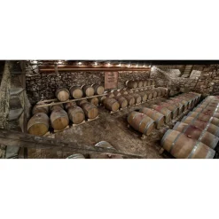 Massimago Wine Relais - Wine Tasting & Nature - 4 Days 3 Nights - Avvenice