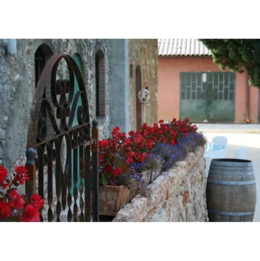 Massimago Wine Relais - Wine Tasting & Nature - 4 Days 3 Nights - Avvenice