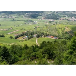 Massimago Wine Relais - Wine Tasting & Nature - 5 Days 4 Nights - Avvenice