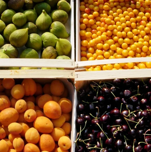 Massimago Wine Relais - Wine Tasting & Nature - 5 Days 4 Nights - Avvenice