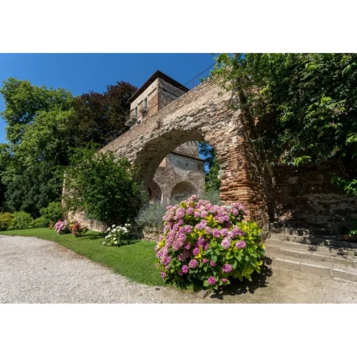 Massimago Wine Tower - Wine Tasting Experience - 4 Days 3 Nights - Avvenice