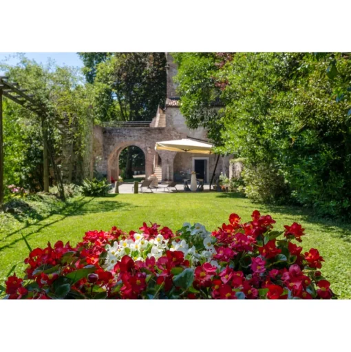 Massimago Wine Tower - Wine Tasting Experience - 4 Days 3 Nights - Avvenice