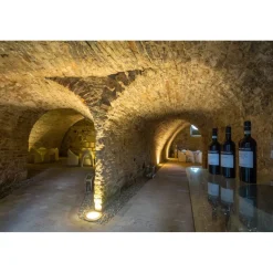 Massimago Wine Tower - Wine Tasting Experience - 4 Days 3 Nights - Avvenice