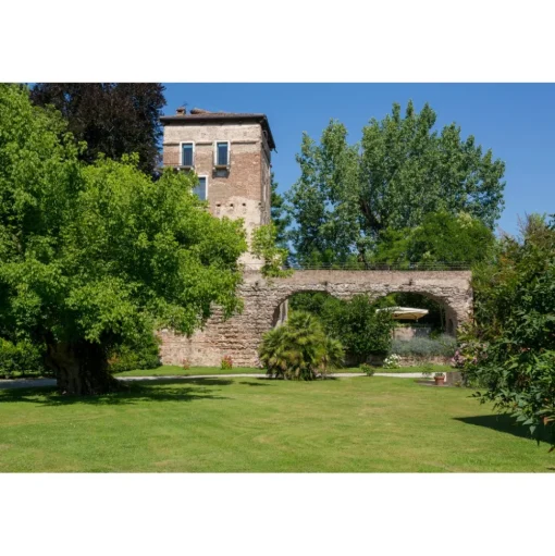 Massimago Wine Tower - Wine Tasting Experience - 4 Days 3 Nights - Avvenice
