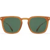 Mykita - Borga - Lite - Dark Brown Gold Green - Acetate Collection - Sunglasses - Mykita Eyewear - Avvenice