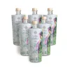 Olio le Donne del Notaio - Donna dei Ferri - Glass Bottle - Extra Virgin Olive Oil - Artisan - Italian High Quality - 6 x 500 ml - Avvenice